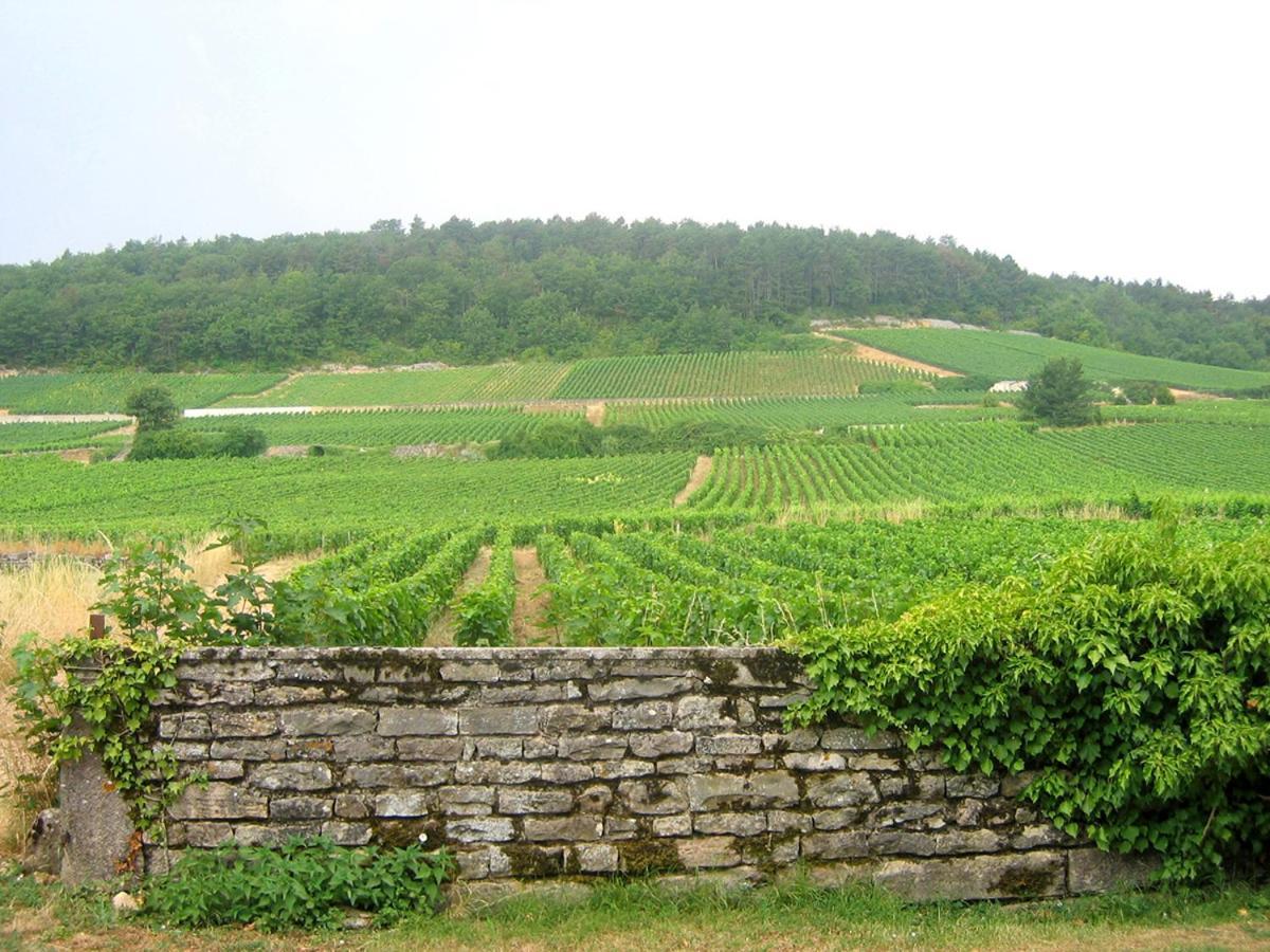 Le Richebourg - Charmant T2 Cosy, Tout Confort 若弗雷尚伯汀 外观 照片