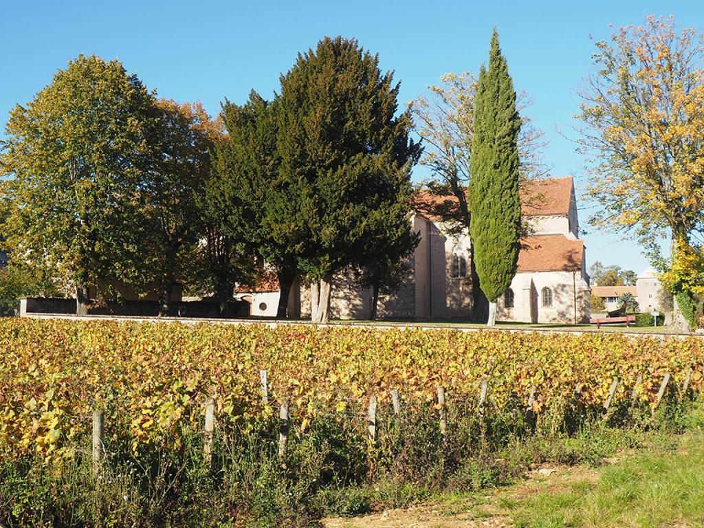 Le Richebourg - Charmant T2 Cosy, Tout Confort 若弗雷尚伯汀 外观 照片