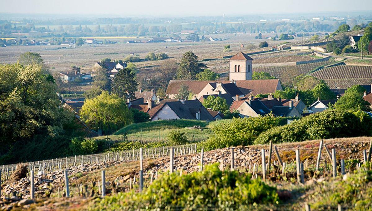 Le Richebourg - Charmant T2 Cosy, Tout Confort 若弗雷尚伯汀 外观 照片